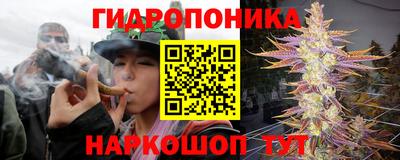 прущая мука Новодвинск