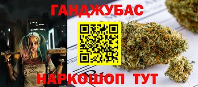 a pvp Новозыбков