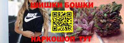 a pvp Новозыбков