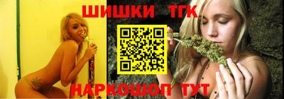 a pvp Новозыбков