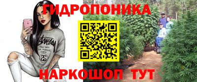 альфа пвп Новокубанск
