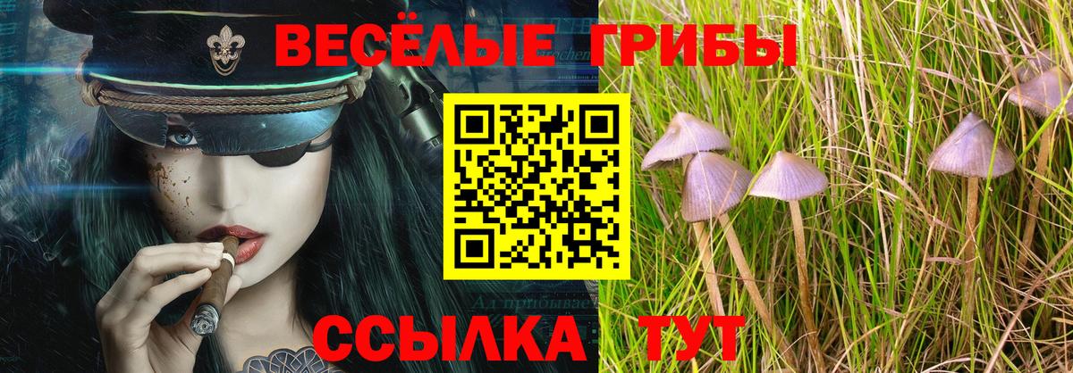 Галлюциногенные грибы мухоморы  Вход с VPN  где купить наркоту  Среднеуральск 