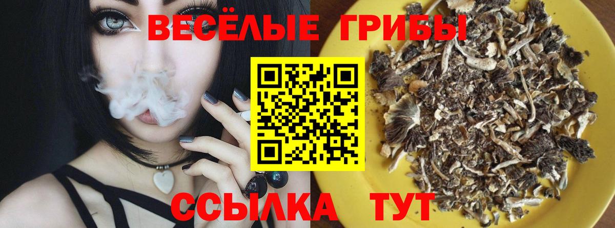 Галлюциногенные грибы мицелий Среднеуральск
